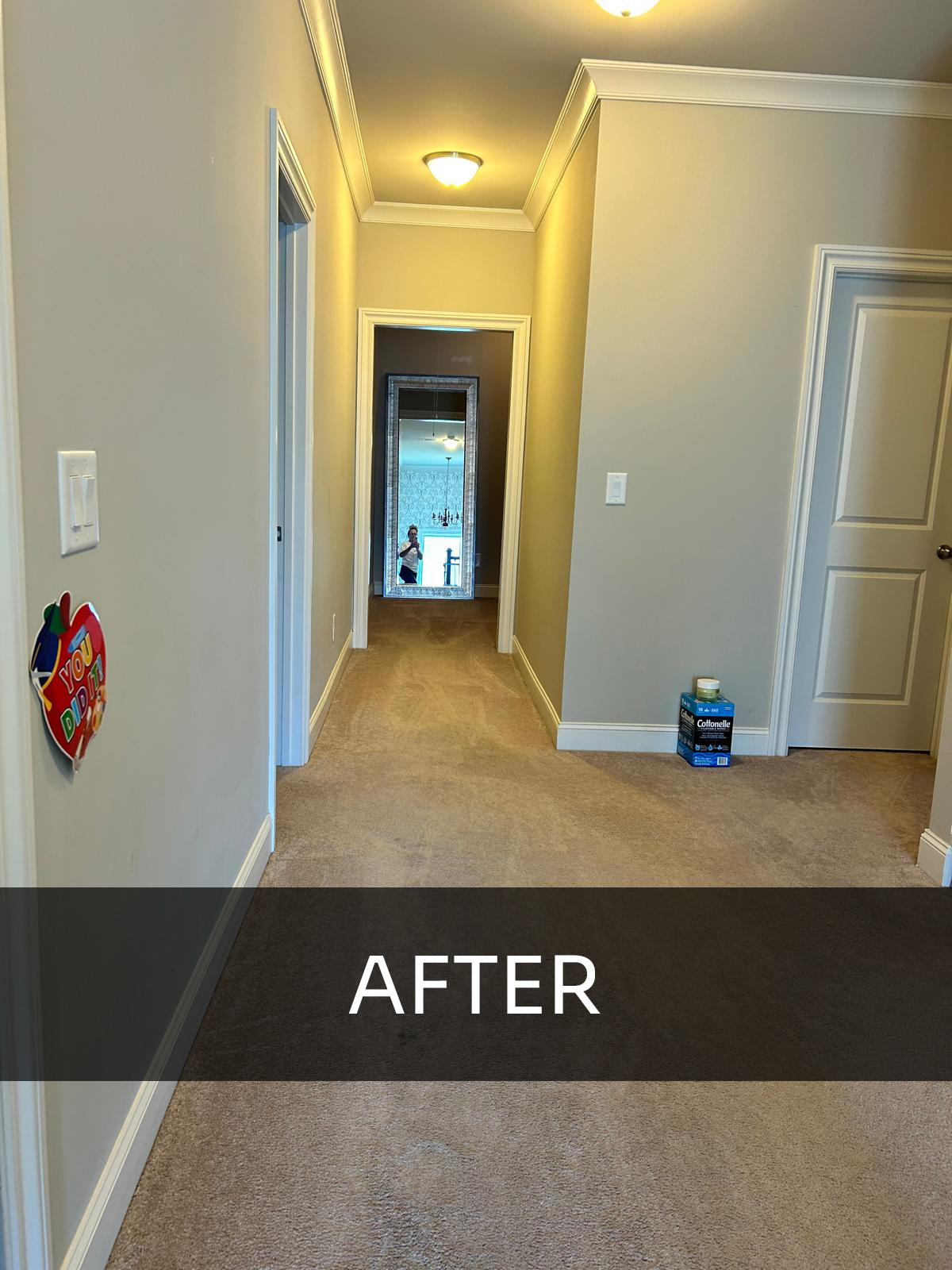 imagem_2025-02-03_142340264